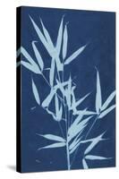 Cyanotype No.2-Renee W. Stramel-Stretched Canvas