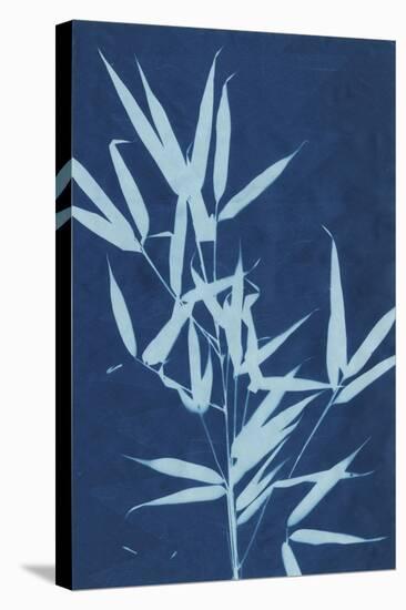 Cyanotype No.2-Renee W. Stramel-Stretched Canvas
