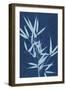 Cyanotype No.2-Renee W. Stramel-Framed Premium Giclee Print