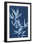 Cyanotype No.2-Renee W. Stramel-Framed Premium Giclee Print