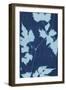 Cyanotype No.9-Renee W. Stramel-Framed Premium Giclee Print