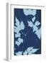 Cyanotype No.9-Renee W. Stramel-Framed Premium Giclee Print