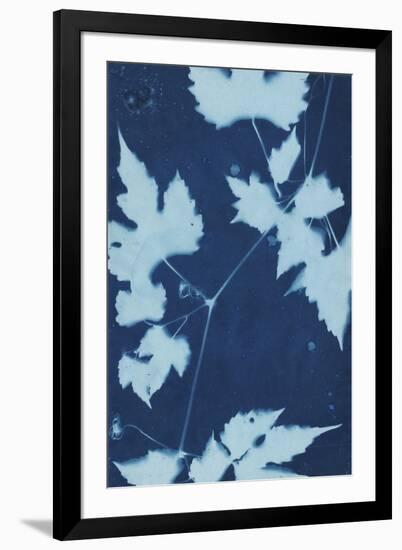 Cyanotype No.9-Renee W. Stramel-Framed Art Print