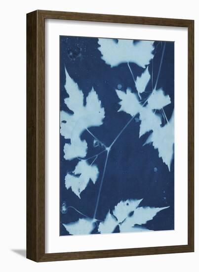 Cyanotype No.9-Renee W. Stramel-Framed Art Print