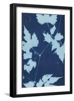 Cyanotype No.9-Renee W. Stramel-Framed Art Print