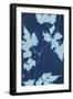 Cyanotype No.9-Renee W. Stramel-Framed Art Print