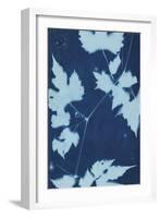 Cyanotype No.9-Renee W. Stramel-Framed Art Print