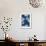 Cyanotype No.9-Renee W. Stramel-Framed Art Print displayed on a wall