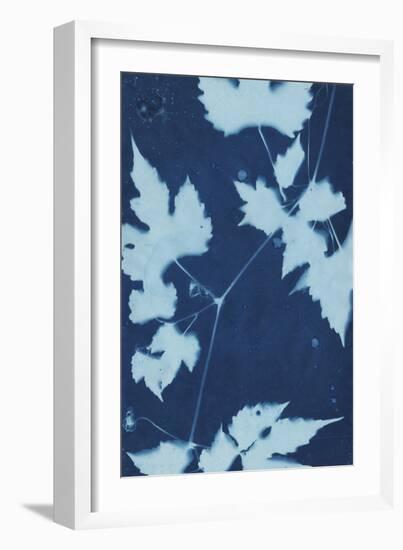 Cyanotype No.9-Renee W. Stramel-Framed Art Print