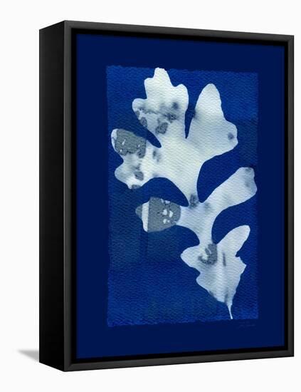 Cyanotype Oak-Dan Zamudio-Framed Stretched Canvas