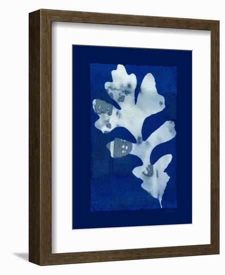 Cyanotype Oak-Dan Zamudio-Framed Art Print