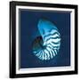 Cyanotype Sea I-Sue Schlabach-Framed Art Print