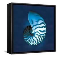 Cyanotype Sea I-Sue Schlabach-Framed Stretched Canvas