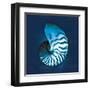 Cyanotype Sea I-Sue Schlabach-Framed Art Print