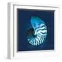 Cyanotype Sea I-Sue Schlabach-Framed Art Print