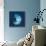 Cyanotype Sea I-Sue Schlabach-Stretched Canvas displayed on a wall