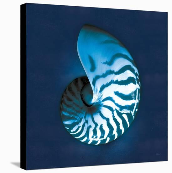 Cyanotype Sea I-Sue Schlabach-Stretched Canvas