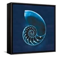 Cyanotype Sea II-Sue Schlabach-Framed Stretched Canvas