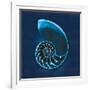 Cyanotype Sea II-Sue Schlabach-Framed Art Print