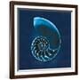 Cyanotype Sea II-Sue Schlabach-Framed Art Print