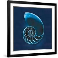 Cyanotype Sea II-Sue Schlabach-Framed Art Print