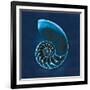 Cyanotype Sea II-Sue Schlabach-Framed Art Print