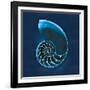 Cyanotype Sea II-Sue Schlabach-Framed Art Print