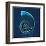 Cyanotype Sea II-Sue Schlabach-Framed Art Print