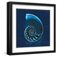 Cyanotype Sea II-Sue Schlabach-Framed Art Print