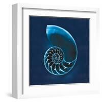 Cyanotype Sea II-Sue Schlabach-Framed Art Print