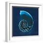 Cyanotype Sea II-Sue Schlabach-Framed Art Print