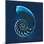 Cyanotype Sea II-Sue Schlabach-Mounted Art Print