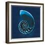 Cyanotype Sea II-Sue Schlabach-Framed Art Print