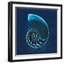 Cyanotype Sea II-Sue Schlabach-Framed Art Print