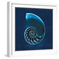 Cyanotype Sea II-Sue Schlabach-Framed Art Print