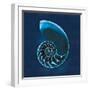 Cyanotype Sea II-Sue Schlabach-Framed Art Print