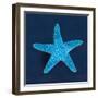 Cyanotype Sea III-Sue Schlabach-Framed Art Print