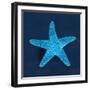 Cyanotype Sea III-Sue Schlabach-Framed Art Print