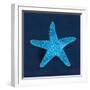 Cyanotype Sea III-Sue Schlabach-Framed Art Print