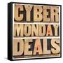 Cyber Monday Deals-PixelsAway-Framed Stretched Canvas