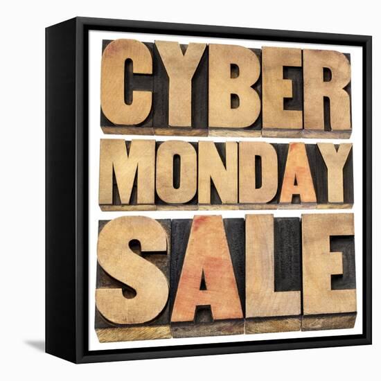 Cyber Monday Sale-PixelsAway-Framed Stretched Canvas