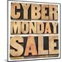 Cyber Monday Sale-PixelsAway-Mounted Art Print