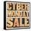 Cyber Monday Sale-PixelsAway-Framed Stretched Canvas