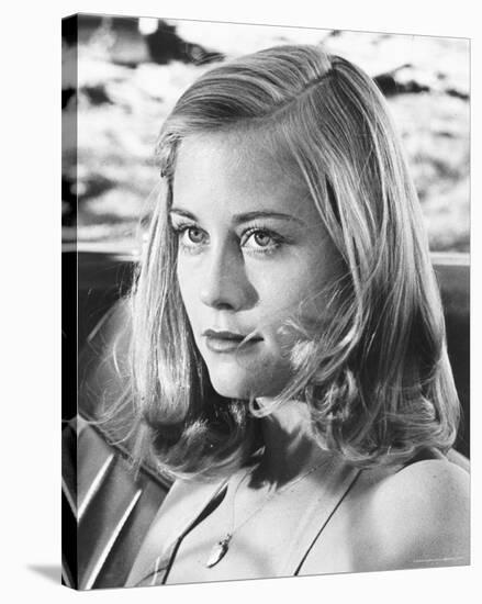 Cybill Shepherd-null-Stretched Canvas