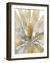 Cycad - Plume-Mark Chandon-Framed Giclee Print