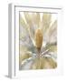 Cycad - Plume-Mark Chandon-Framed Giclee Print