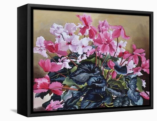 Cyclamen, 2004-Christopher Ryland-Framed Stretched Canvas
