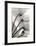 Cyclamen Study IV-Steven N^ Meyers-Framed Art Print