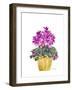 Cyclamen-Neela Pushparaj-Framed Giclee Print