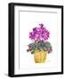 Cyclamen-Neela Pushparaj-Framed Giclee Print